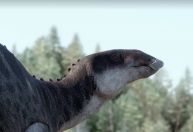 Dinossauro com bico de pato: veja imagem reconstruída por cientistas