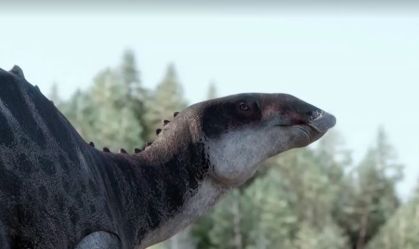 dinopato1