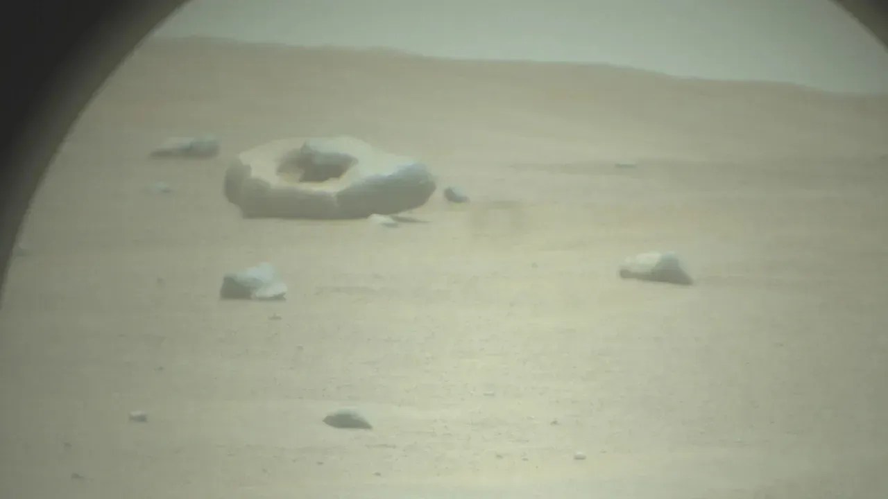 donut-nasa