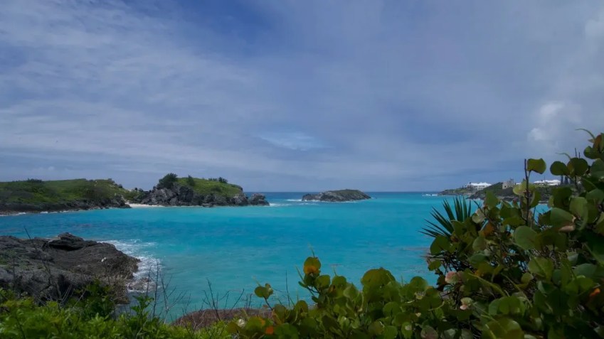 Os cientistas reintroduziram os caracóis terrestres maiores e menores das Bermudas em diferentes ilhas do arquipélago / Sandy Thin/CNN