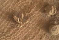 Veja “achados” da Nasa em Marte que fizeram muita gente duvidar se é real