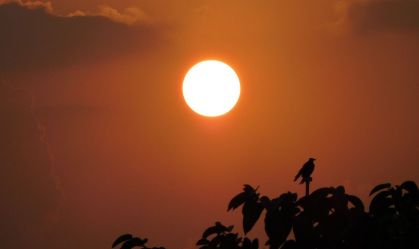 EUA e União Europeia estudam “bloqueio do Sol” para reduzir temperaturas globais