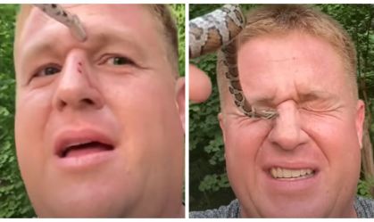 Cobra pica influencer mais de 50 vezes; veja vídeo e entenda os riscos