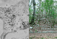 Arqueólogos no México encontram vestígios de antiga cidade Maia; veja imagens