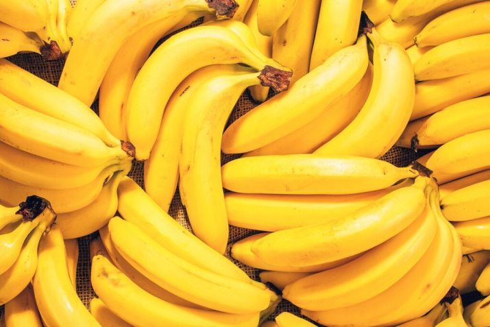 Quantas bananas pode comer por dia? / Imagem: Shutterstock