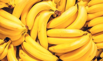 Estado de São Paulo é líder na produção de bananas