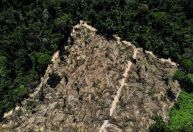 Desmatamento na Amazônia cai, mas no Cerrado segue em alta, segundo Inpe