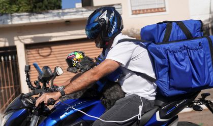 Cadela "entregadora" percorre as ruas de São Paulo distribuindo ração para cachorros com fome