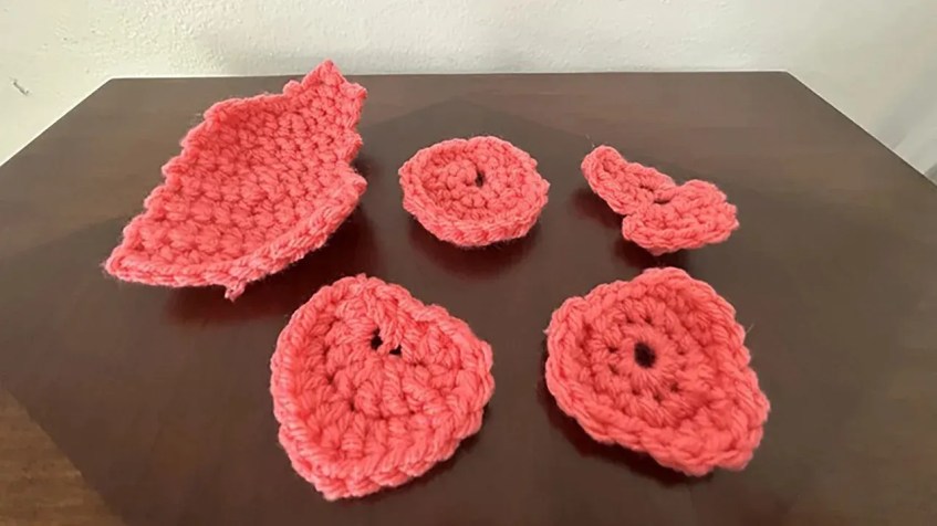 Modelo de coração de crochê criado segundo instruções do ChatGPT / AJ Willingham/CNN