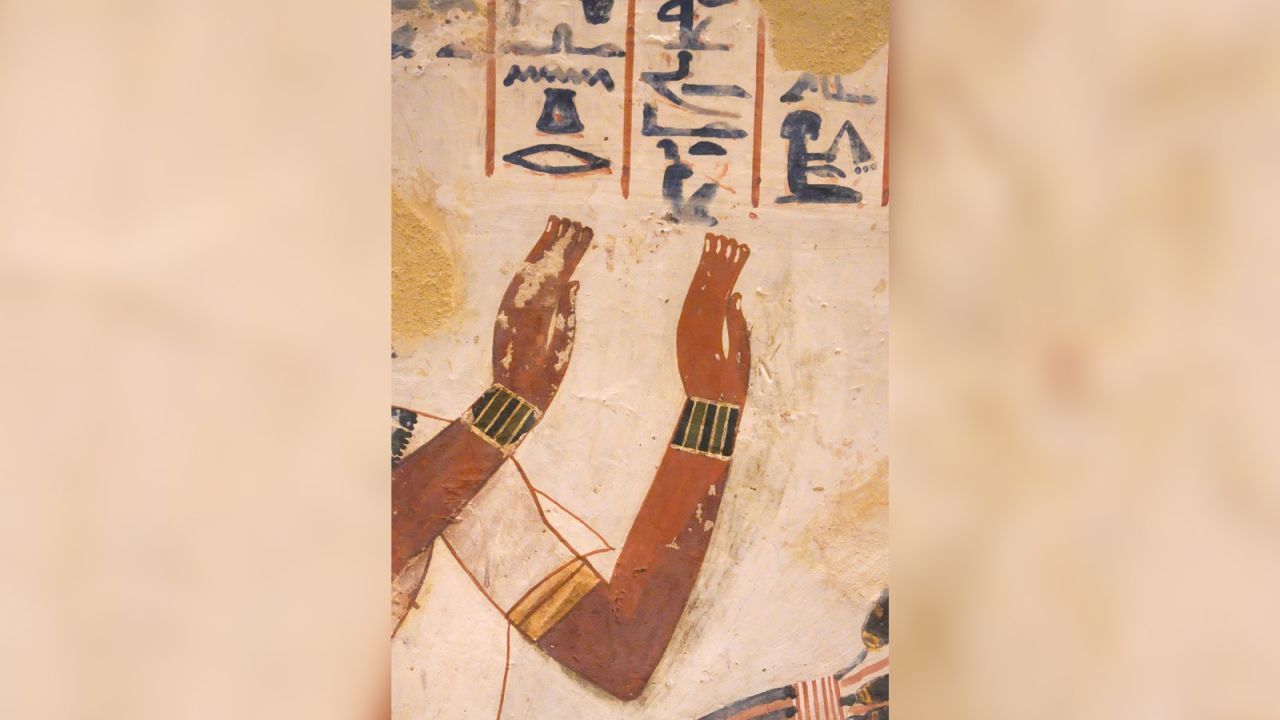 Aqui está uma visão detalhada da mão que foi apagada / Theban Tombs Project (LAMS MAFTO CNRS - CA Uliège)