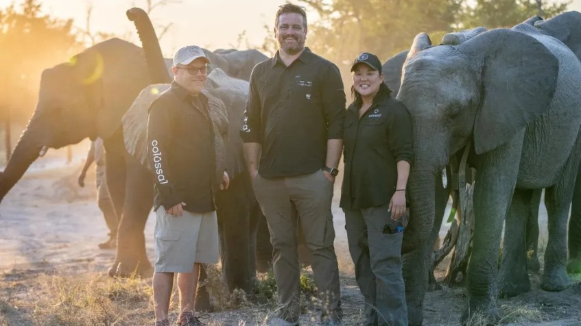 A equipe da Colossal Biosciences em Elephant Havens, na África. Da esquerda para a direita: Steve Metzler, Matt James, Dra. Wendy Kiso / Colossal