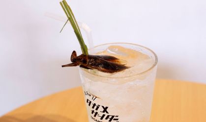 Drink de insetos: a nova moda dos restaurantes em Tóquio