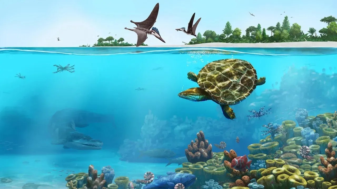 Uma reconstrução artística mostra a tartaruga marinha extinta em seu ambiente marinho costeiro. O habitat de S. parsonsi era provavelmente uma rede de recifes costeiros e lagoas / Peter Nickolaus