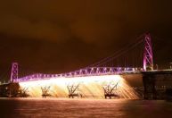 Florianópolis acaba com queima de fogos de artifício no Ano Novo