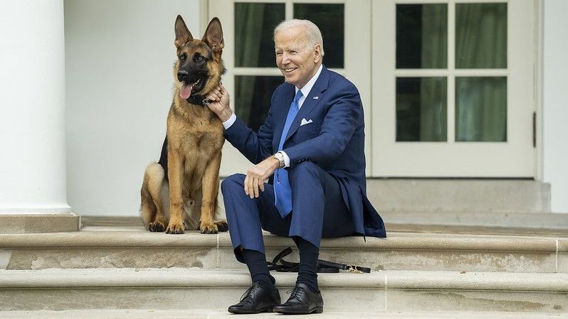 O presidente Joe Biden posa para fotos com seu cachorro, Commander, para o Dia Nacional do Animal de Estimação, em 8 de abril de 2022, no Rose Garden da Casa Branca / Foto oficial da Casa Branca por Adam Schultz