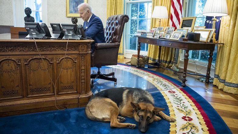 Cachorro Commander espera no Resolute Desk enquanto o presidente Joe Biden se reúne com a equipe no Salão Oval da Casa Branca/ Foto oficial da Casa Branca por Adam Schultz 27/09/2022