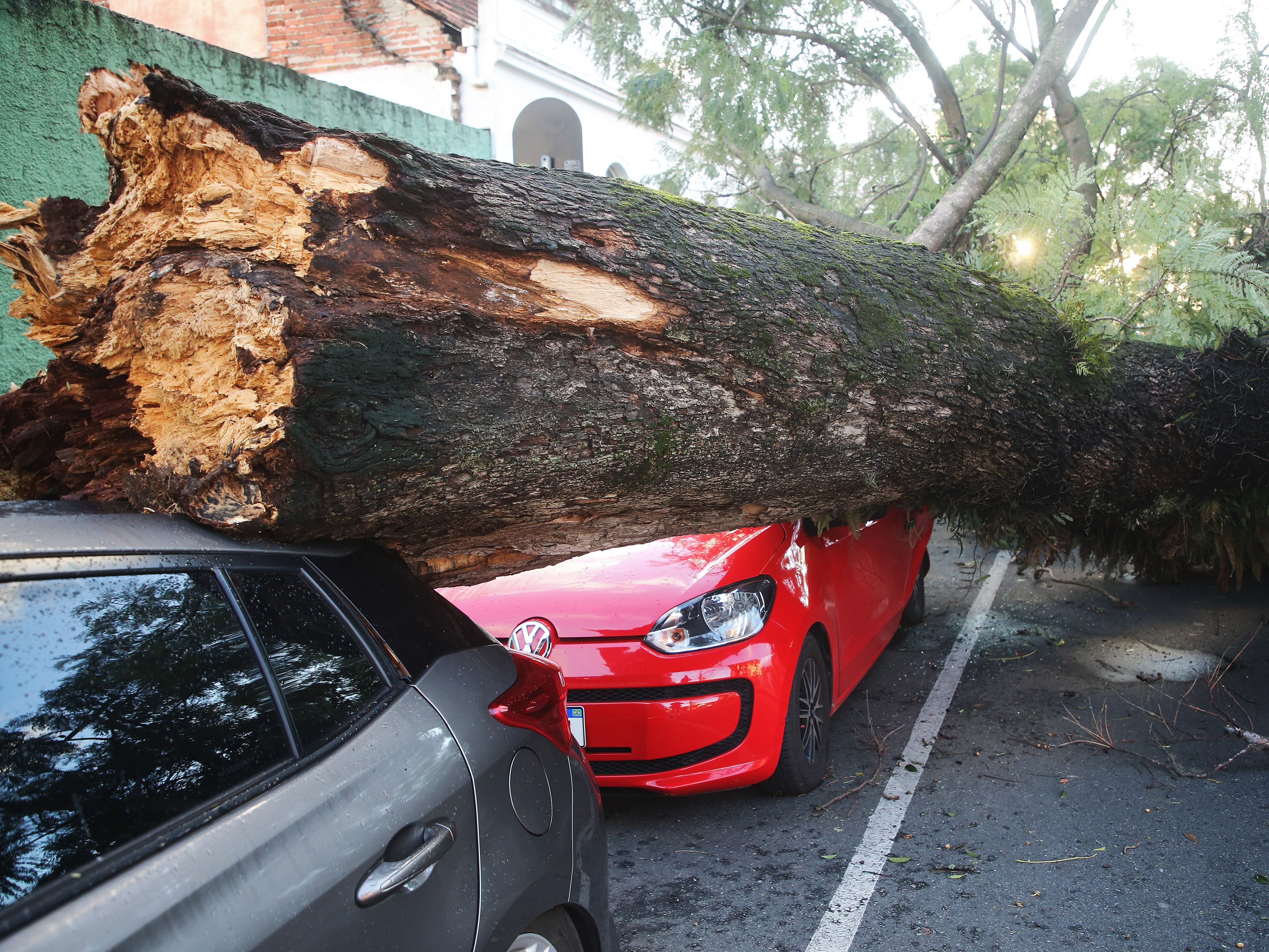 Queda de árvore atinge veículo na Avenida Iguaçú após a passagem de um ciclone extratropical em Curitiba, Paraná
