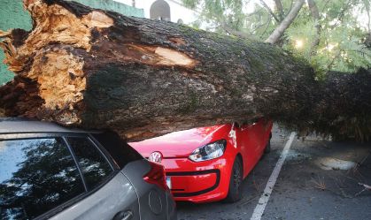 Queda de árvore atinge veículo na Avenida Iguaçú após a passagem de um ciclone extratropical em Curitiba, Paraná