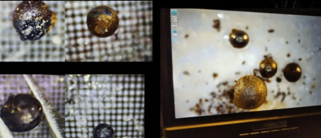 Descobertas de fragmentos feitas pelo professor de Harvad Avi Loeb e sua equipe / Reprodução de vídeo/cbsnews
