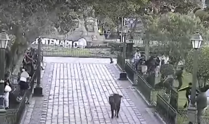 Capturar