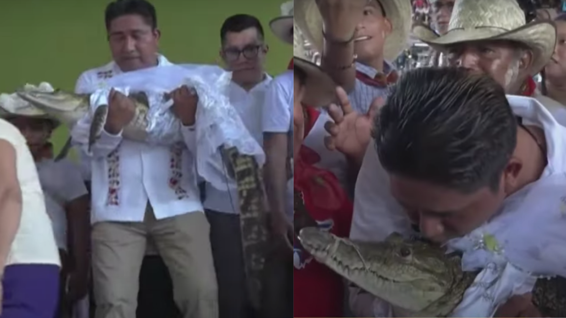 Casamento com jacare1