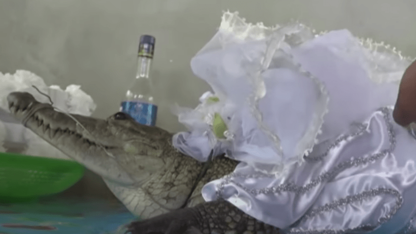 Alicia Adriana é vestida pelos moradores para cerimônia / Reprodução