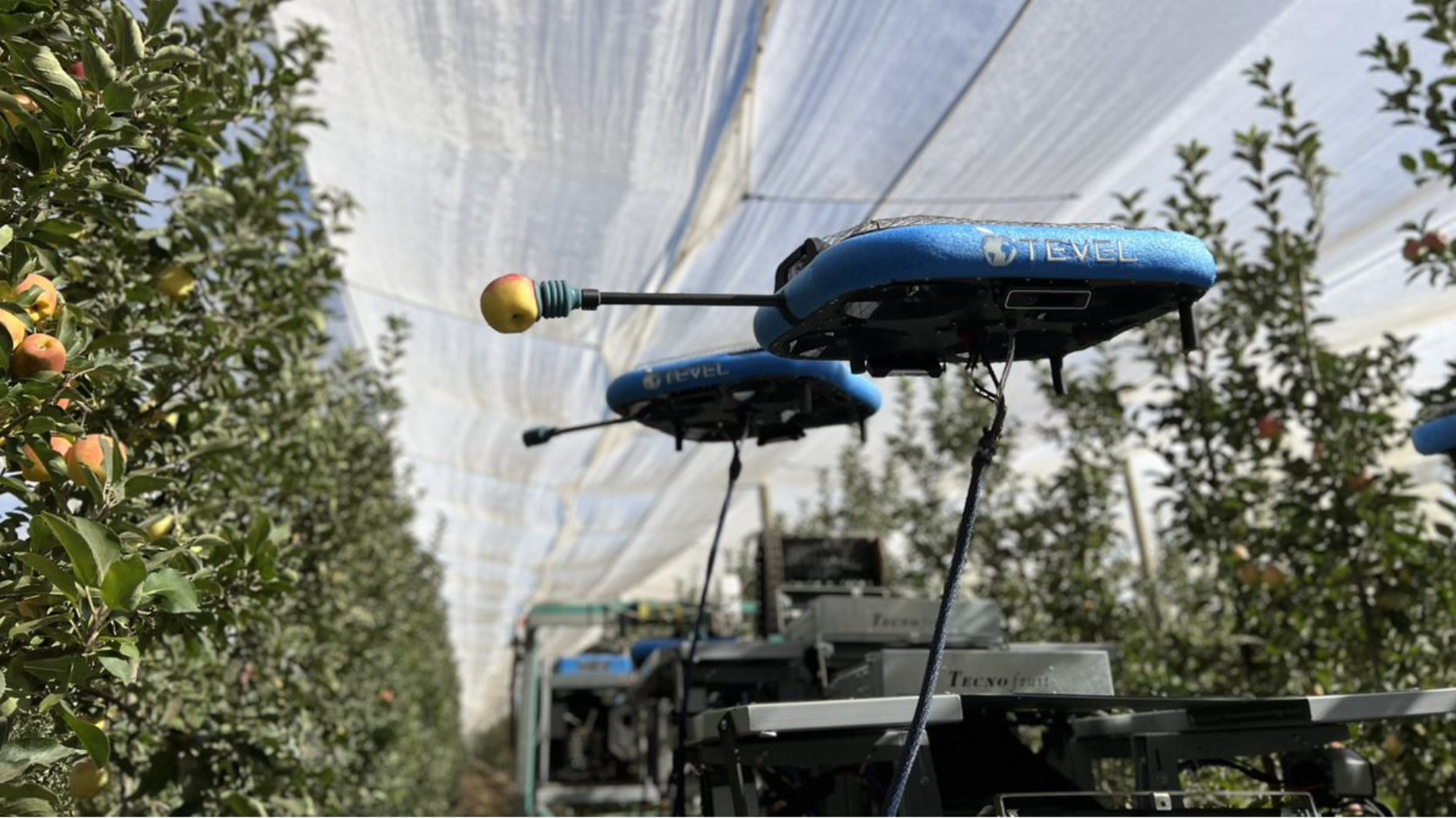 Por meio de IA, drones colhem maçãs com precisão no Chile