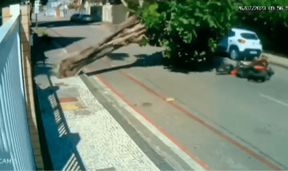 Árvore cai em cima de motoqueiro no Ceará