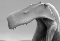 Cientistas pedem volta ao Brasil de fóssil de dinossauro contrabandeado para a Alemanha