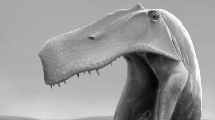 Imagem digital supõe como seria o irritator challengeri