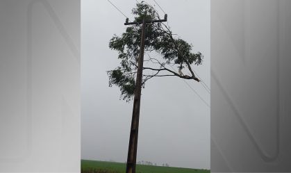 Galhos de árvores foram parar em cima de fios após a passagem do ciclone no município de Rolador (RS)