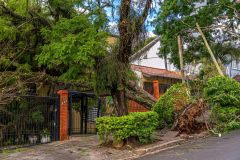 Queda de árvores na cidade de Porto Alegre, no Rio Grande do Sul, após ciclone em junho de 2023