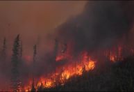 Com incêndios fora de controle, Canadá pede ajuda internacional
