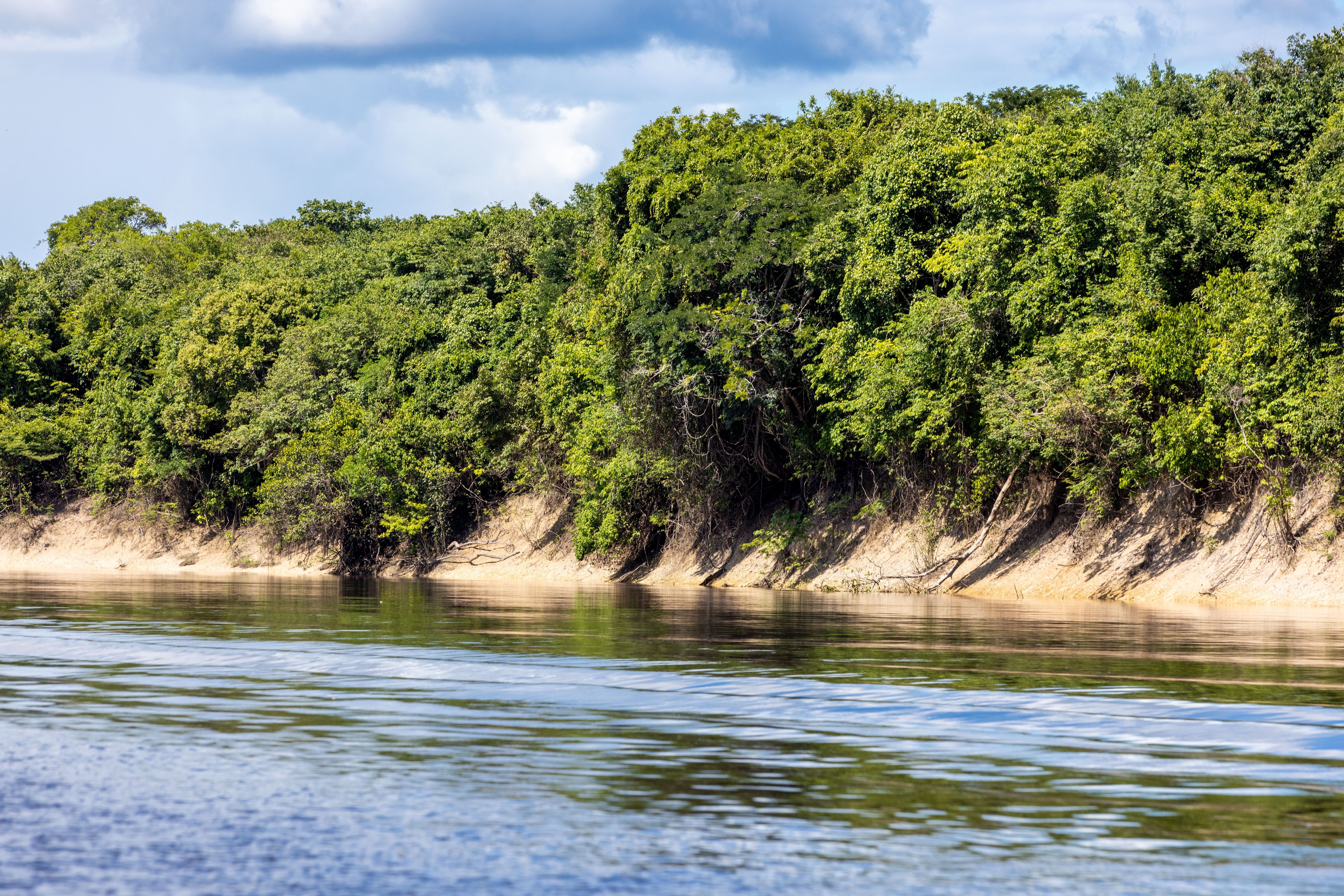 Imagem de rio na Floresta Amazônica