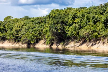 Imagem de rio na Floresta Amazônica