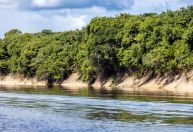 CPI das ONGs quer ouvir TCU sobre uso de recursos do Fundo Amazônia