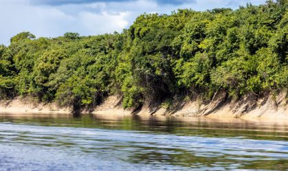 Suíça anuncia doação de R$ 33 milhões para Fundo Amazônia