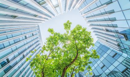 O dia em que sustentabilidade e contabilidade se uniram: lançamento dos padrões IFRS S1 e IFRS S2 para sustentabilidade