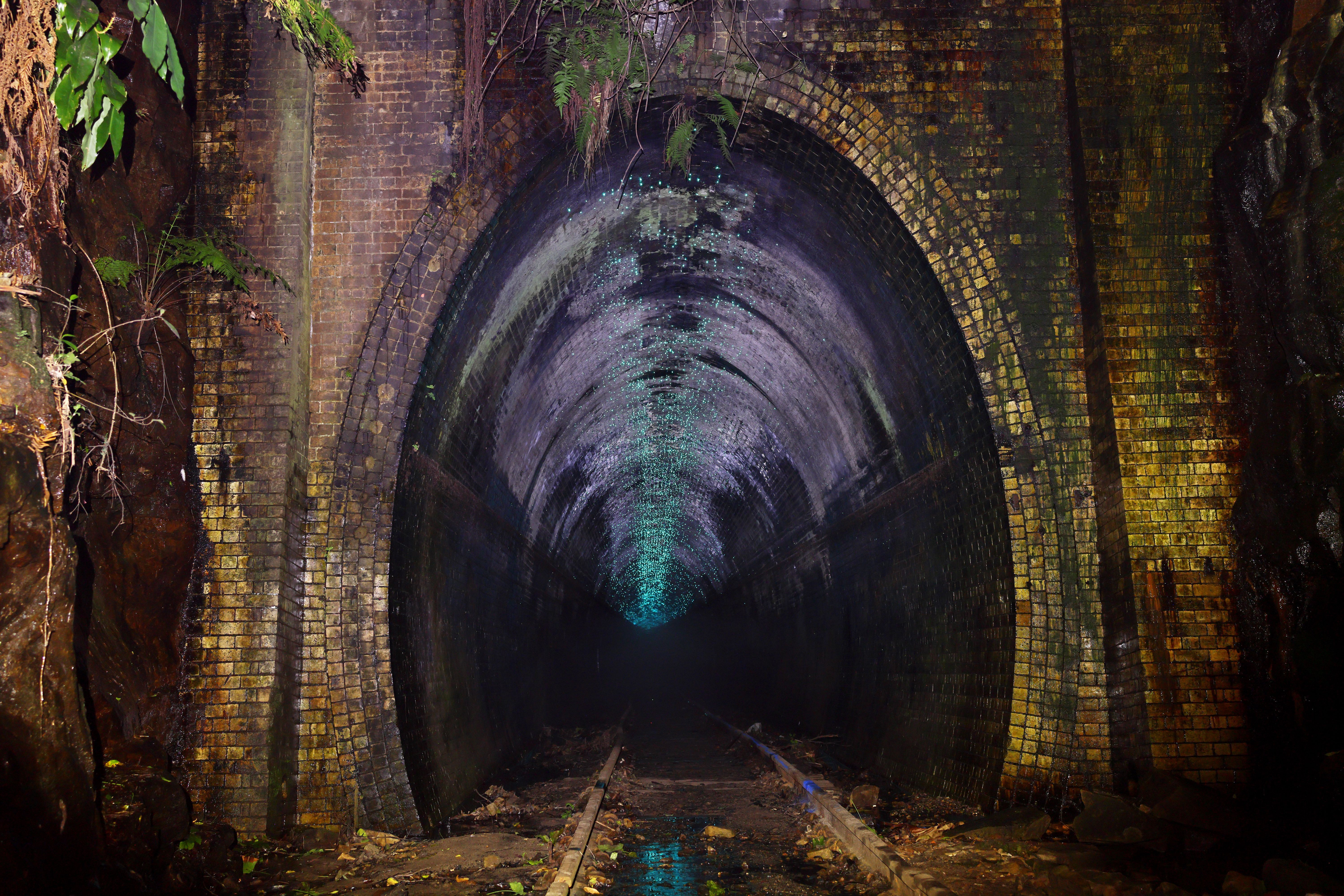 Glow Worm Tunnel, na Austrália / Ken Griffiths/Getty Images