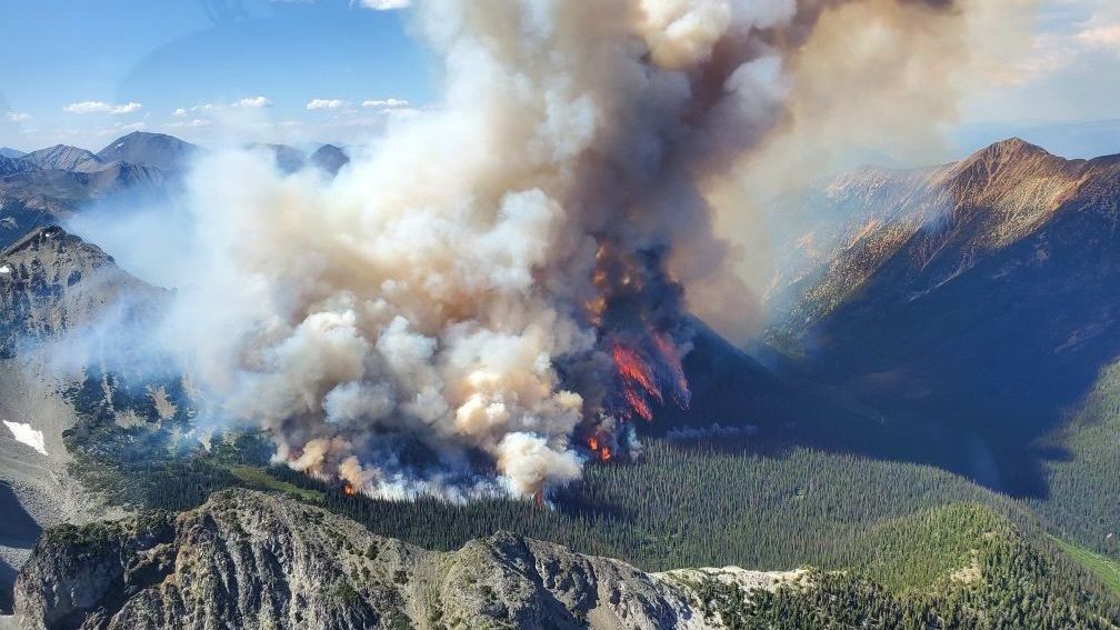 Incêndios florestais