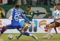 Gás de pimenta usado em briga de torcida interrompe Palmeiras x Flamengo no Allianz Parque