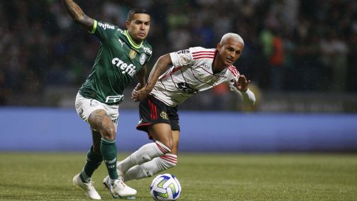 Palmeiras e Flamengo se enfrentaram pelo Campeonato Brasileiro