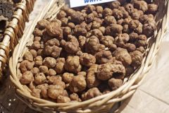 trufas brancas