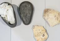 Ossos que podem ser de Beethoven saem dos EUA e vão para Áustria para análise científica