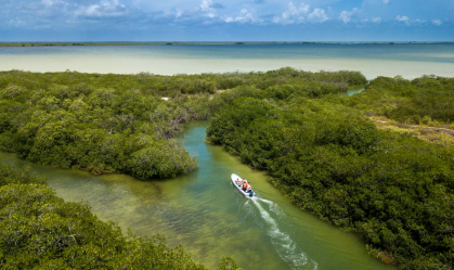 Mudanças climáticas estão causando alterações na cor dos oceanos, aponta pesquisa