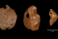 Primeiros habitantes das américas usavam “pingentes” de ossos de preguiças gigantes