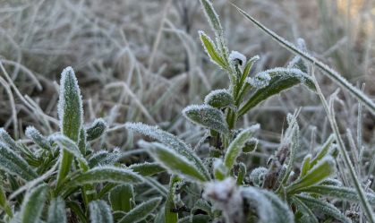 Depois de temperaturas negativas e geada, Rio Grande do Sul terá onda de calor no final de semana