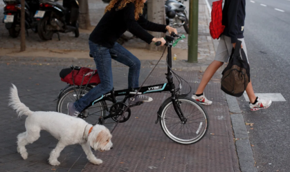 É provável que você esteja passeando com o seu pet de forma incorreta; entenda