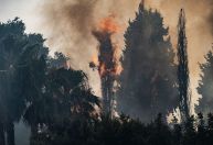 Incêndios florestais, calor e granizo gigante: Itália sofre com todo tipo de clima extremo