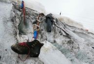 Derretimento de geleira revela restos de alpinista desaparecido há 37 anos